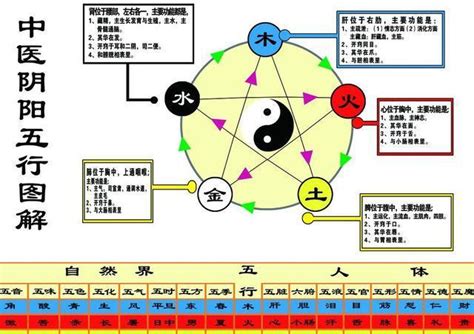 紫的五行